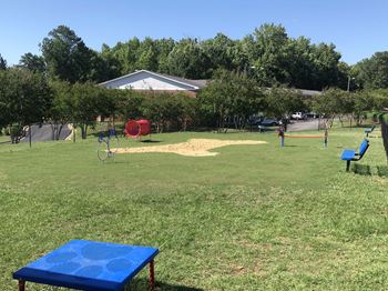 Dog park featuring dog spa and bath